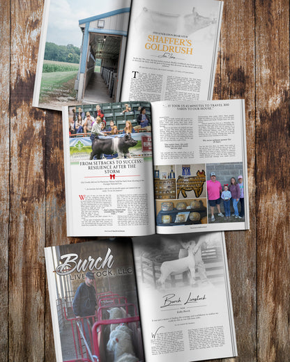 Issue 2 - Anah Higbie Edition